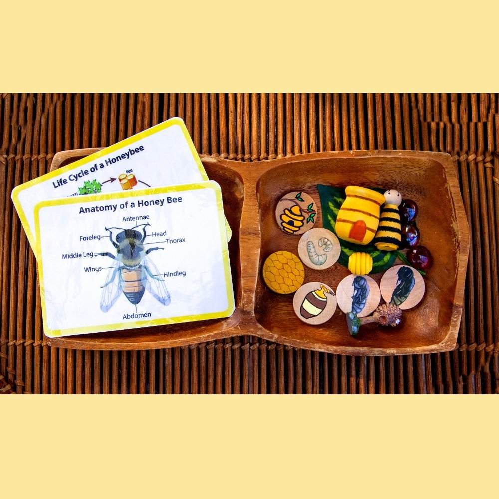 Montessori Toys, Preschool, Homeschool